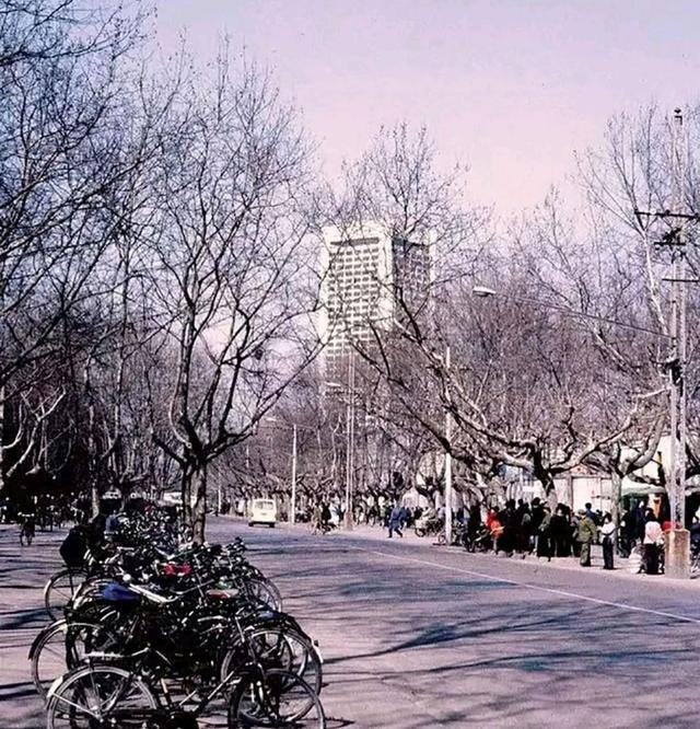 ���� (4).jpg