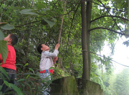 ���� ׽֪��