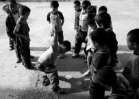 ���Ľ� ��Ԫ��